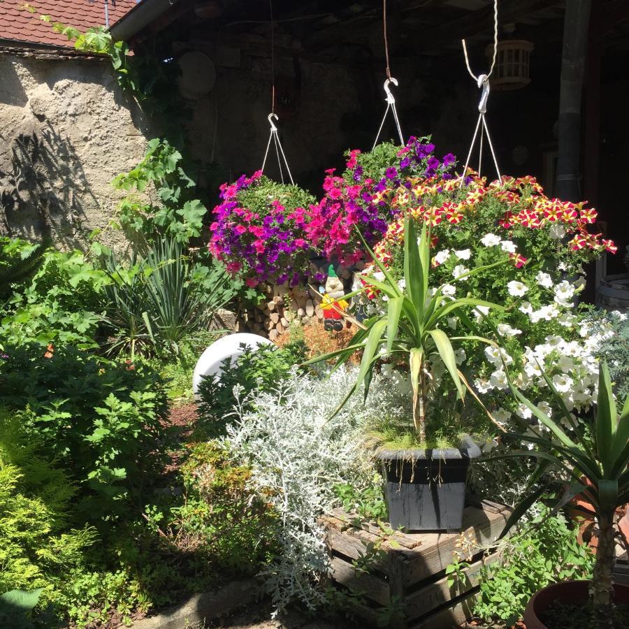 Apartmán Haus Gisela Endingen am Kaiserstuhl Exteriér fotografie
